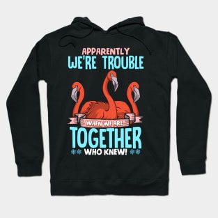 Apparently We're Trouble When We Are Together Hoodie